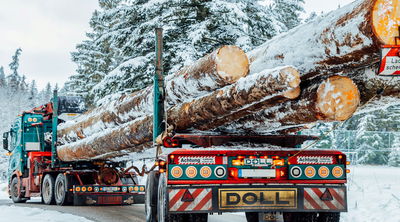 DOLL Langholzzug, beladen mit Baumstämmen, fährt über eine verschneite Straße in einem Tannenwald