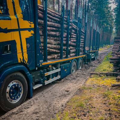 Blauer LKW mit DOLL Plattformanhänger mit großen Baumstämmen auf einer Waldstraße, der seine Ladekapazität und Effizienz unter Beweis stellt.